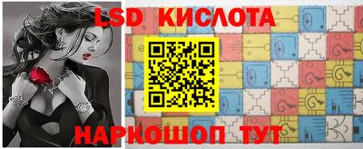 PSILOCYBIN Гатчина