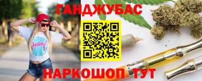PSILOCYBIN Гатчина