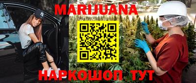 PSILOCYBIN Гатчина