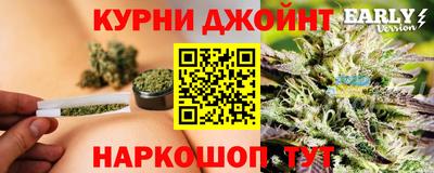 PSILOCYBIN Гатчина
