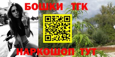 PSILOCYBIN Гатчина